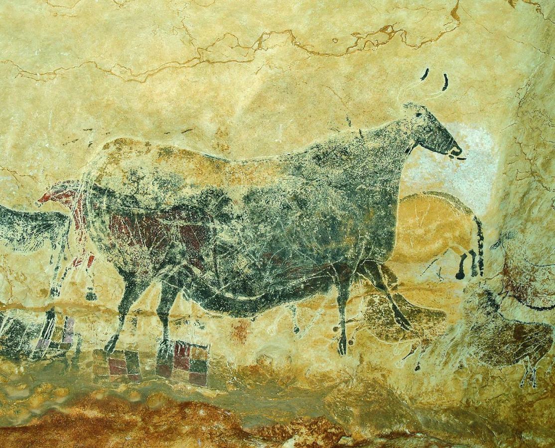 Les Toits De Lascaux Montignac-Lascaux Eksteriør billede